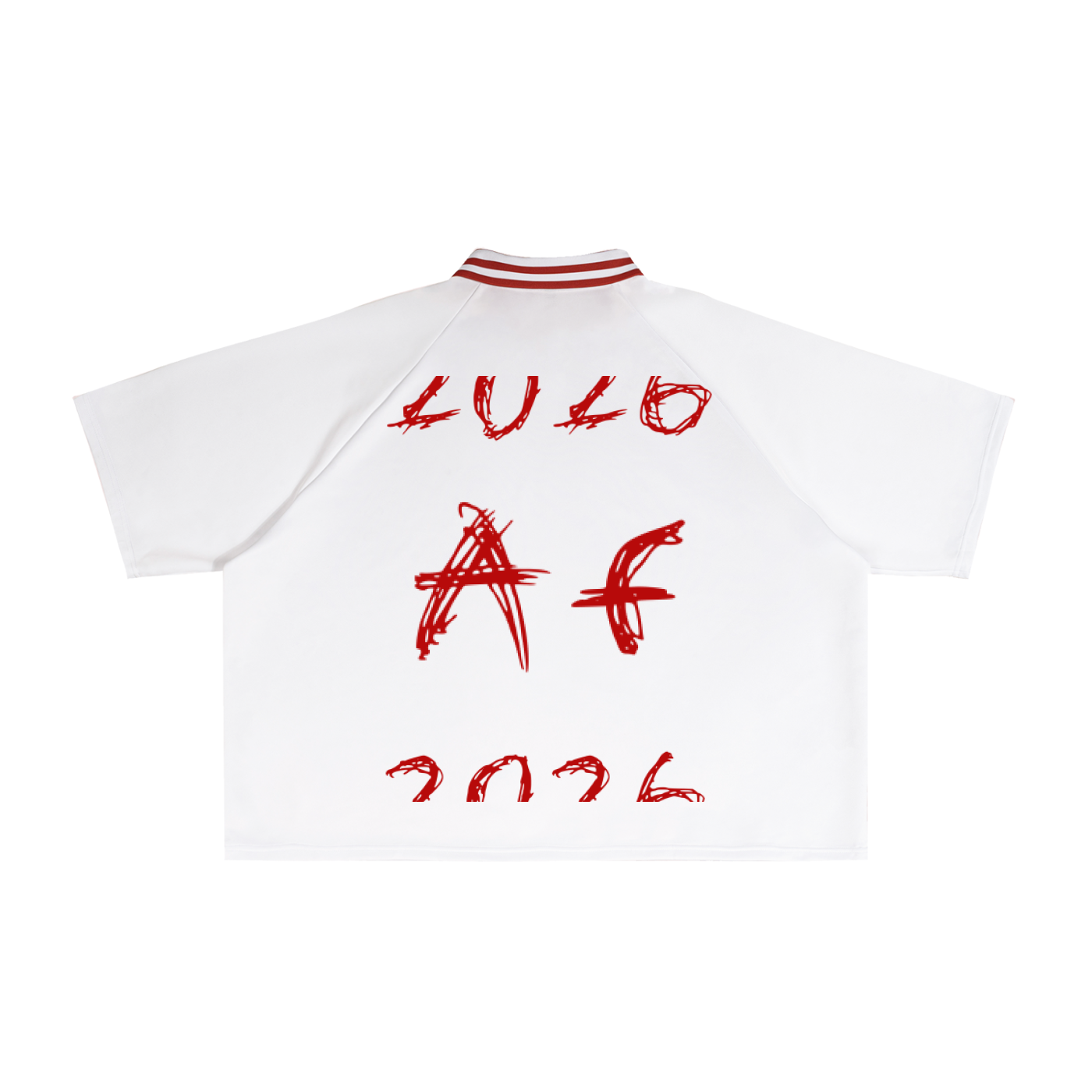 Contrast Lapel Collar Boxy T-Shirt